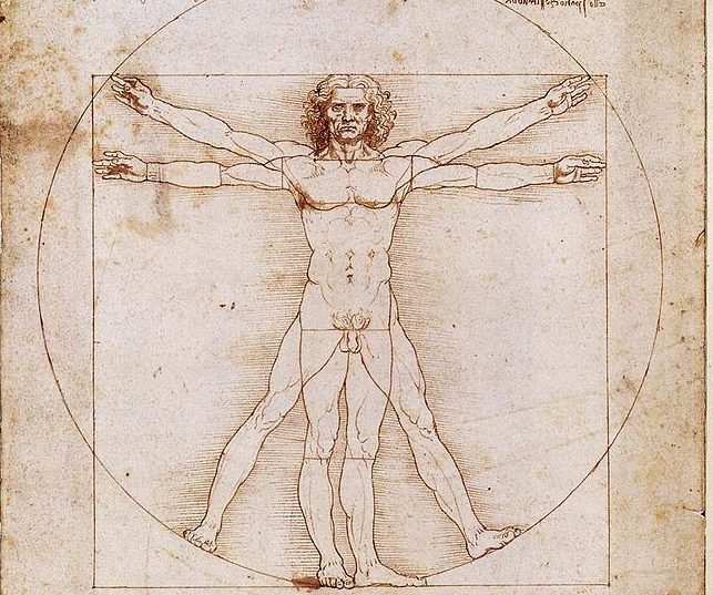 Leonardo da Vincis teckning Den vitruvianske mannen